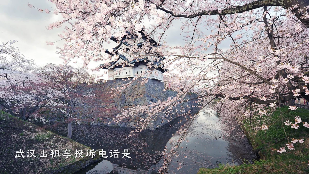 武汉出租车投诉电话是