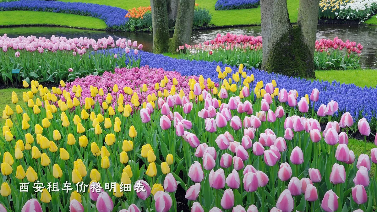 西安租车价格明细表