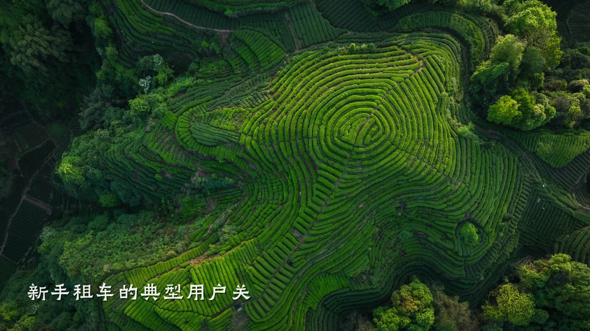 新手租车的典型用户关