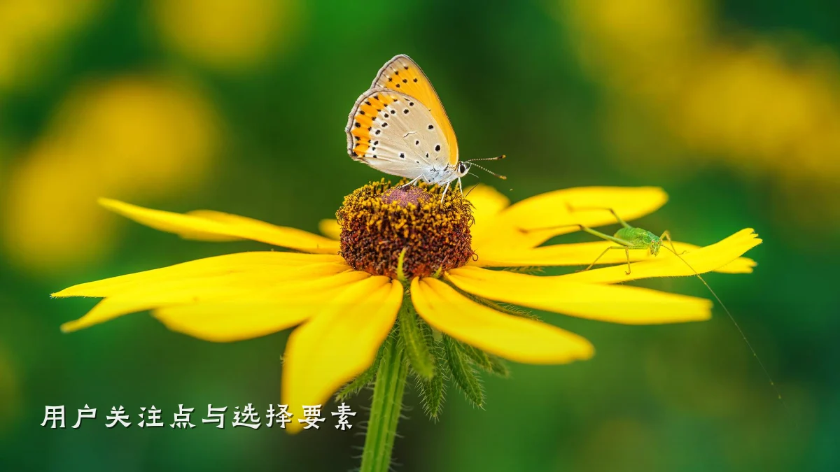 用户关注点与选择要素