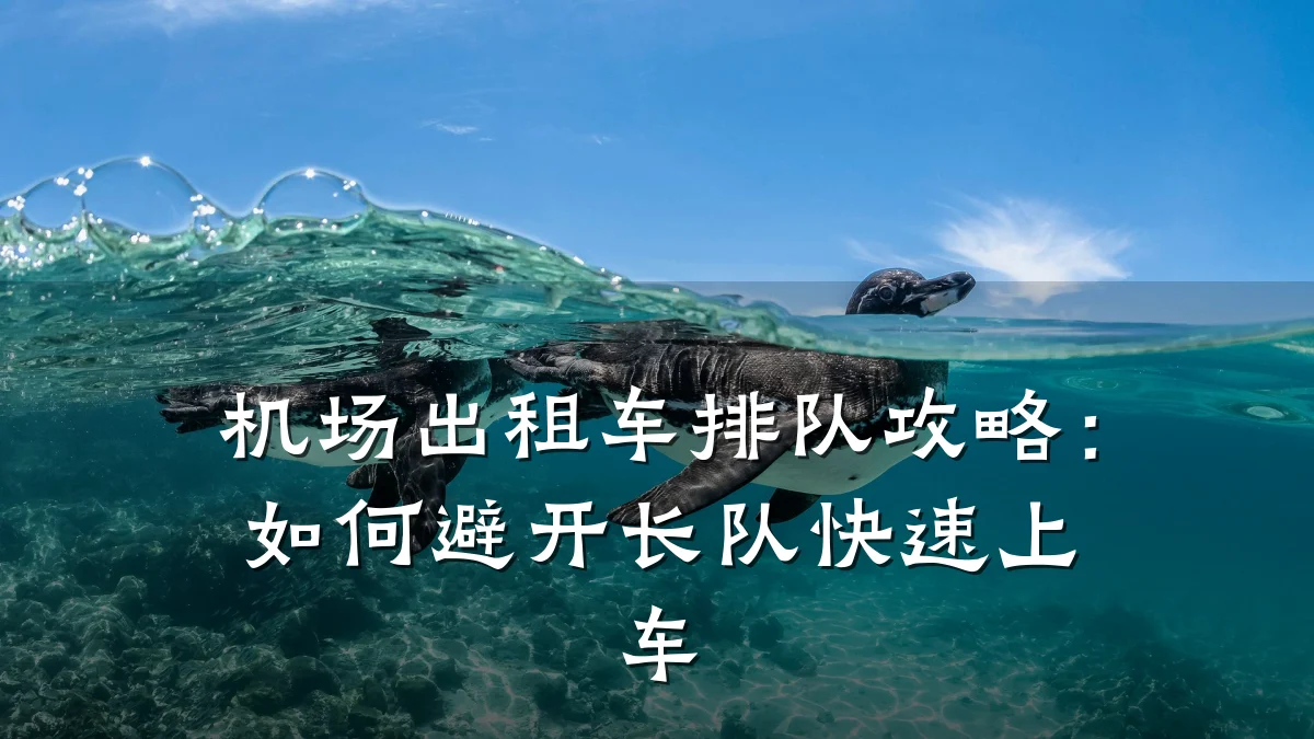机场出租车排队攻略：如何避开长队快速上车