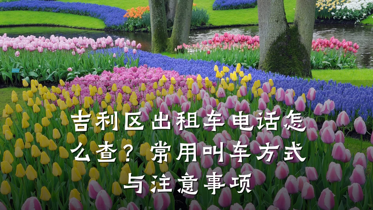 吉利区出租车电话怎么查？常用叫车方式与注意事项