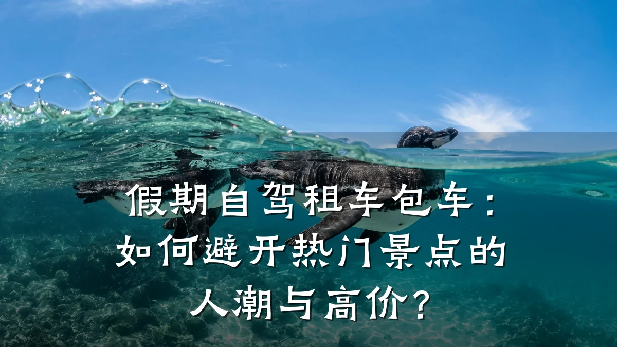 假期自驾租车包车:如何避开热门景点的人潮与高价?