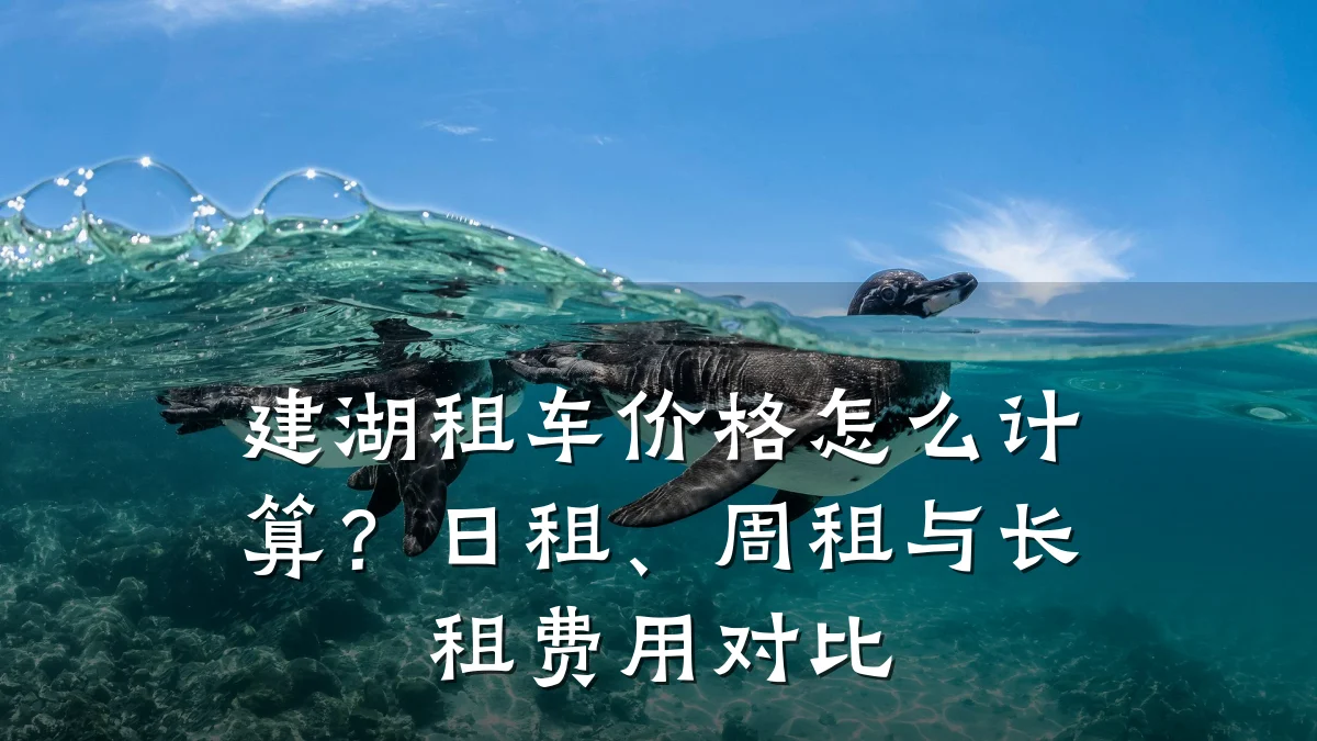 建湖租车价格怎么计算？日租、周租与长租费用对比