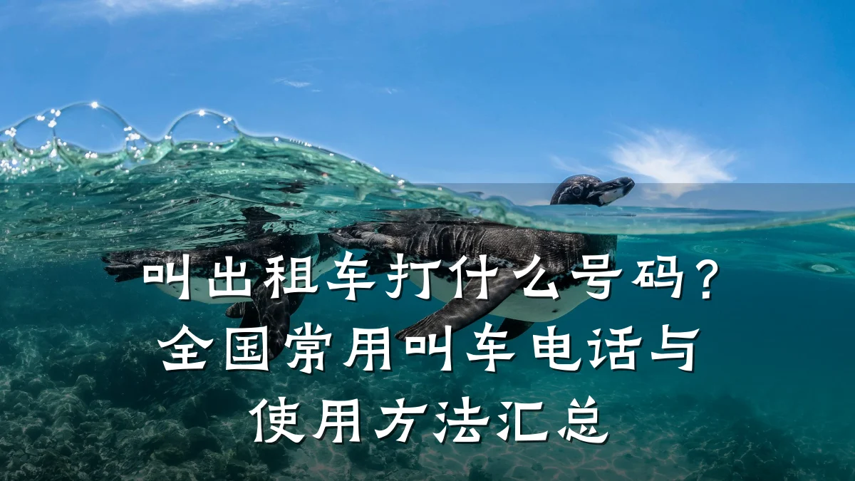 叫出租车打什么号码？全国常用叫车电话与使用方法汇总