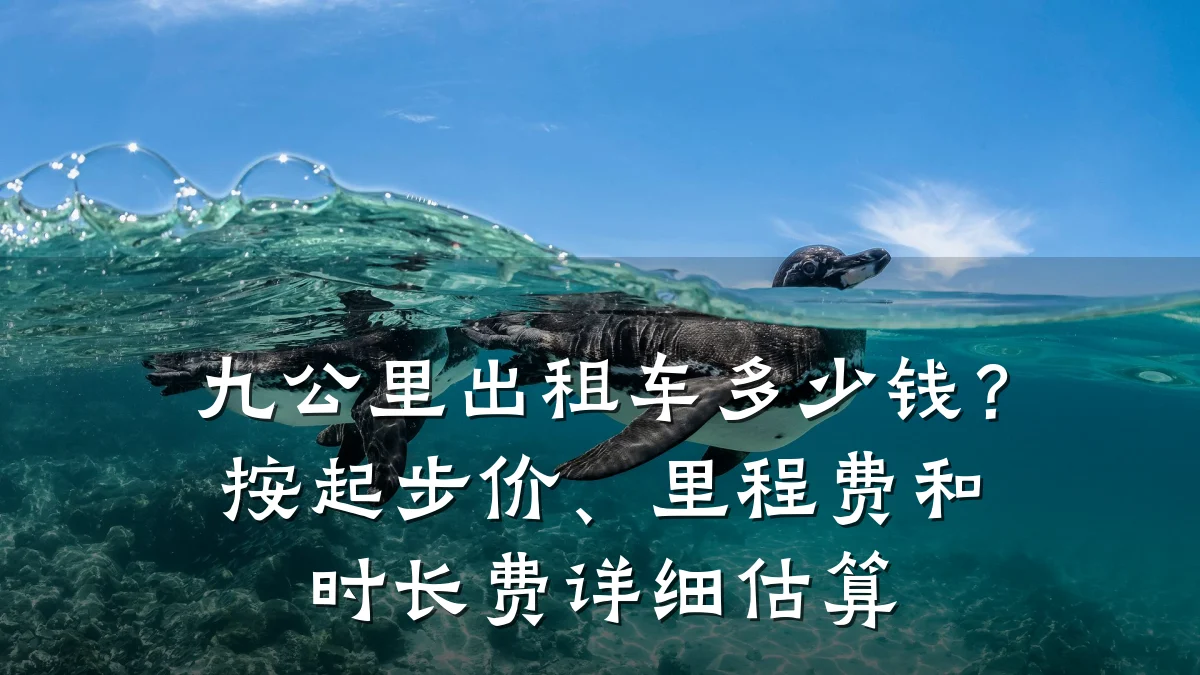 九公里出租车多少钱?按起步价、里程费和时长费详细估算