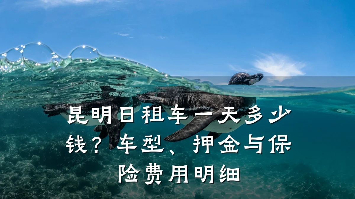 昆明日租车一天多少钱?车型、押金与保险费用明细