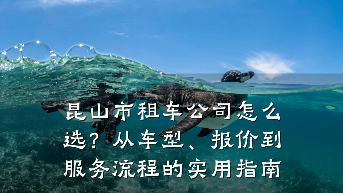 昆山市租车公司怎么选?从车型、报价到服务流程的实用指南