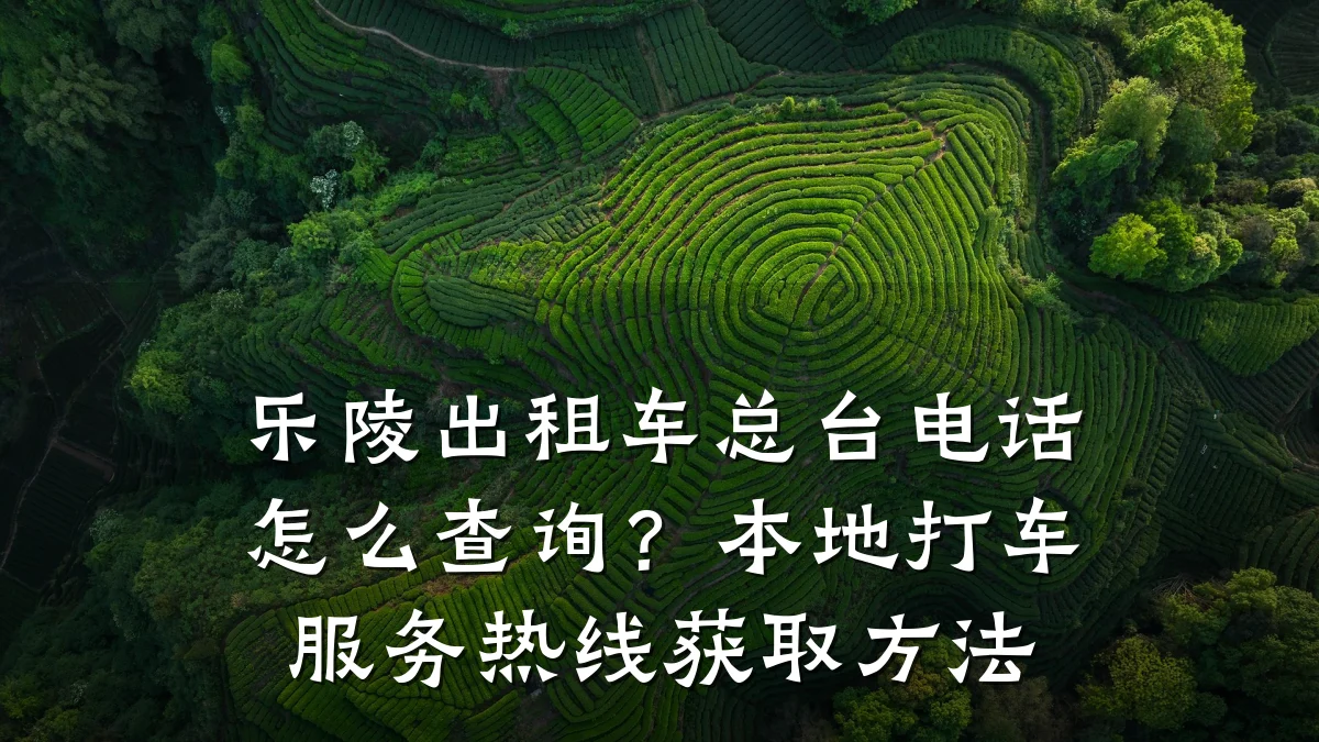乐陵出租车总台电话怎么查询?本地打车服务热线获取方法