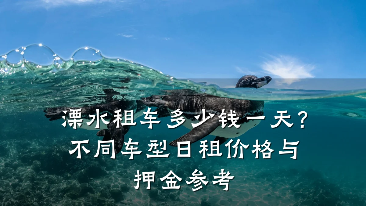 溧水租车多少钱一天?不同车型日租价格与押金参考