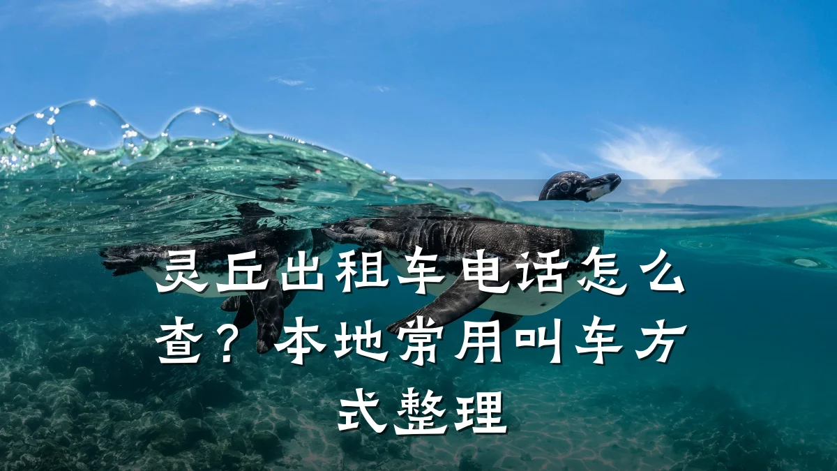 灵丘出租车电话怎么查?本地常用叫车方式整理