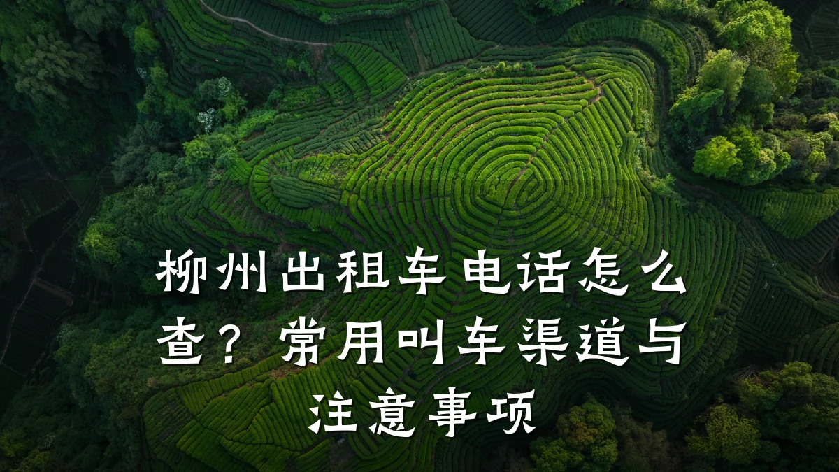柳州出租车电话怎么查？常用叫车渠道与注意事项