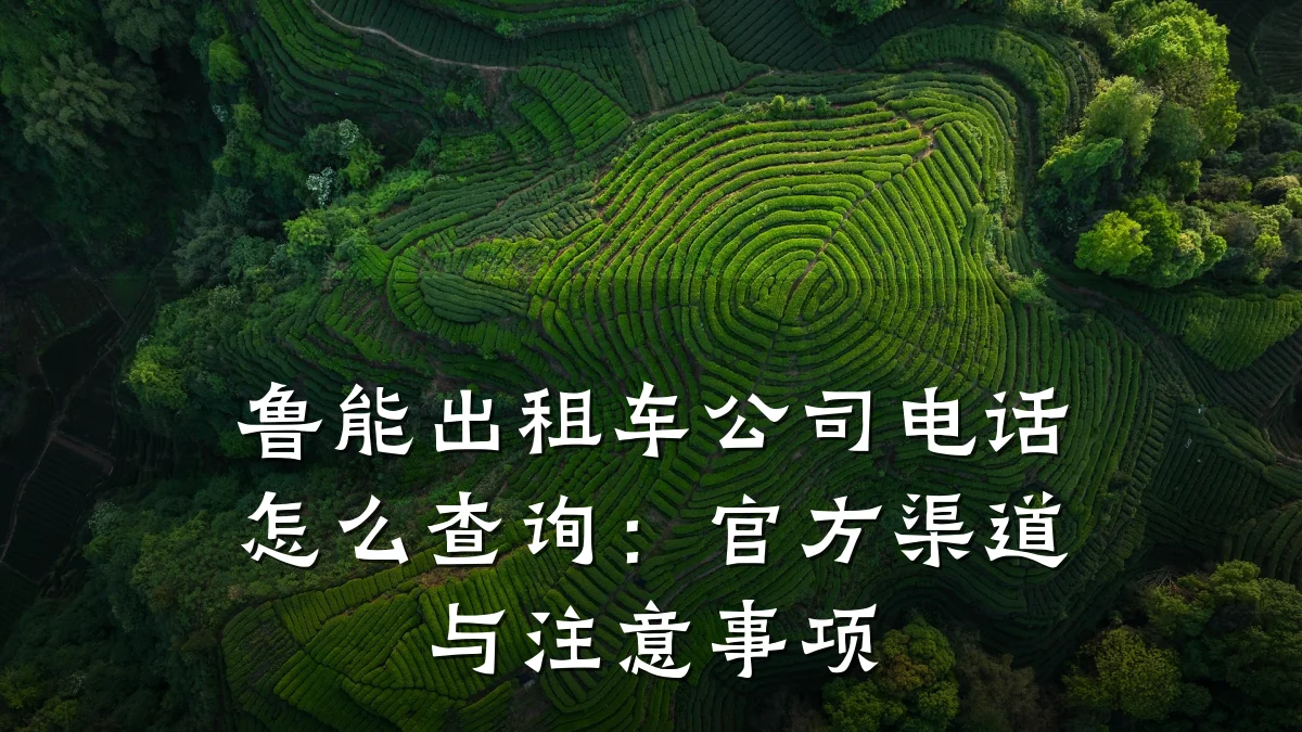 鲁能出租车公司电话怎么查询:官方渠道与注意事项