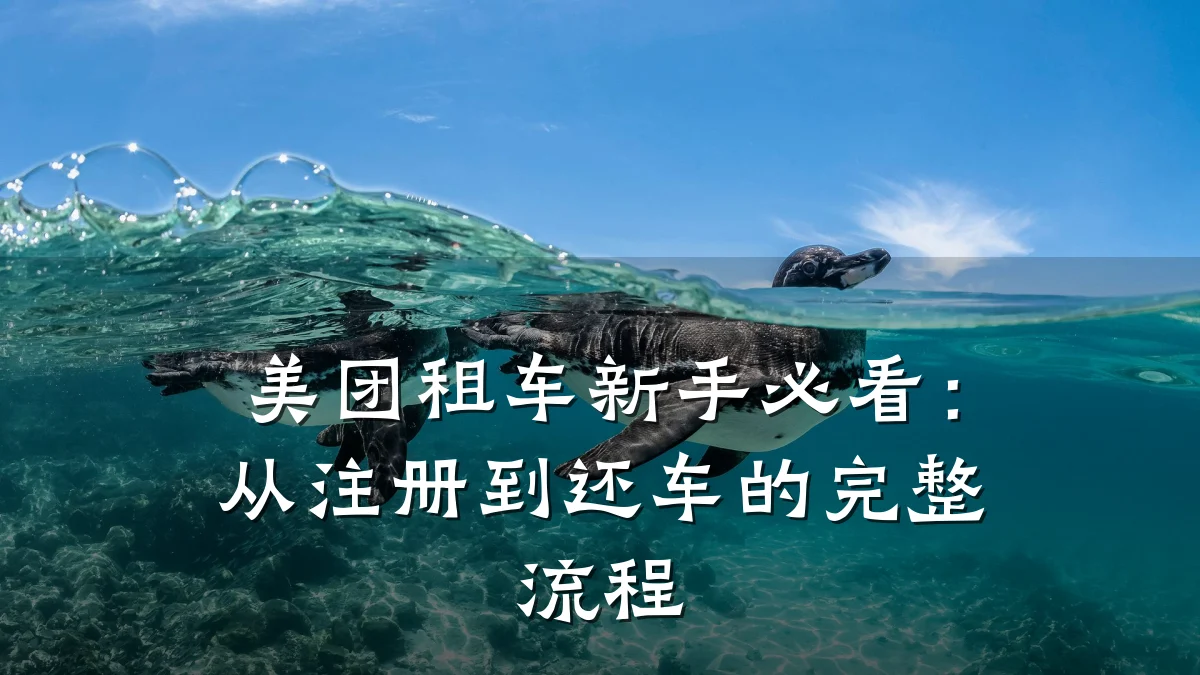 美团租车新手必看:从注册到还车的完整流程