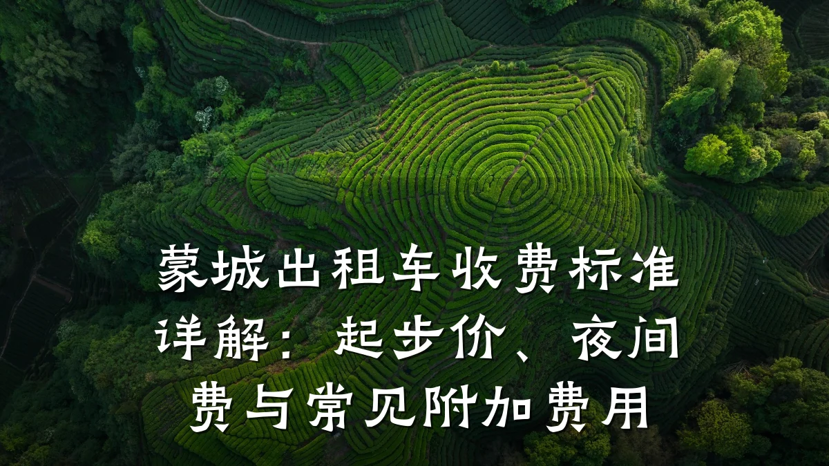 蒙城出租车收费标准详解:起步价、夜间费与常见附加费用