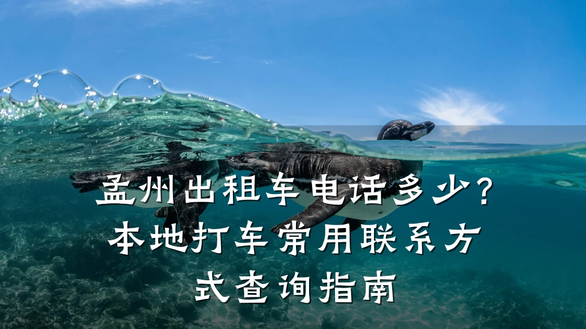 孟州出租车电话多少？本地打车常用联系方式查询指南