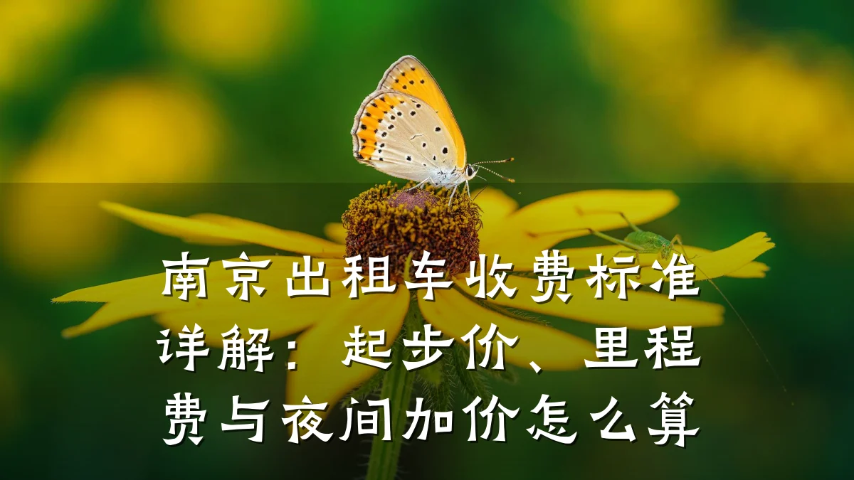 南京出租车收费标准详解:起步价、里程费与夜间加价怎么算