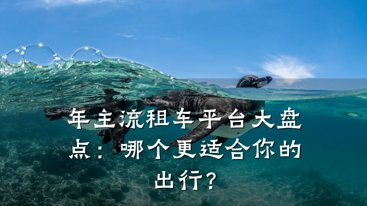 年主流租车平台大盘点:哪个更适合你的出行?