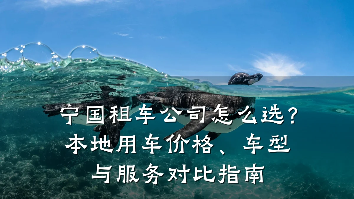 宁国租车公司怎么选？本地用车价格、车型与服务对比指南
