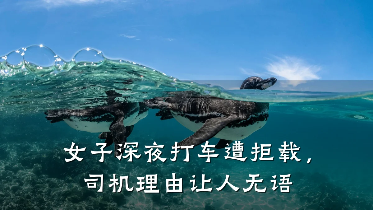 女子深夜打车遭拒载，司机理由让人无语