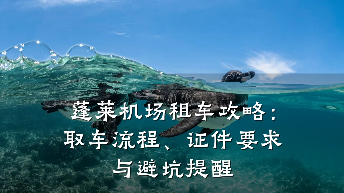 蓬莱机场租车攻略：取车流程、证件要求与避坑提醒