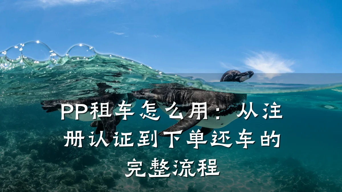 PP租车怎么用：从注册认证到下单还车的完整流程