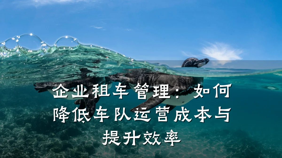 企业租车管理：如何降低车队运营成本与提升效率