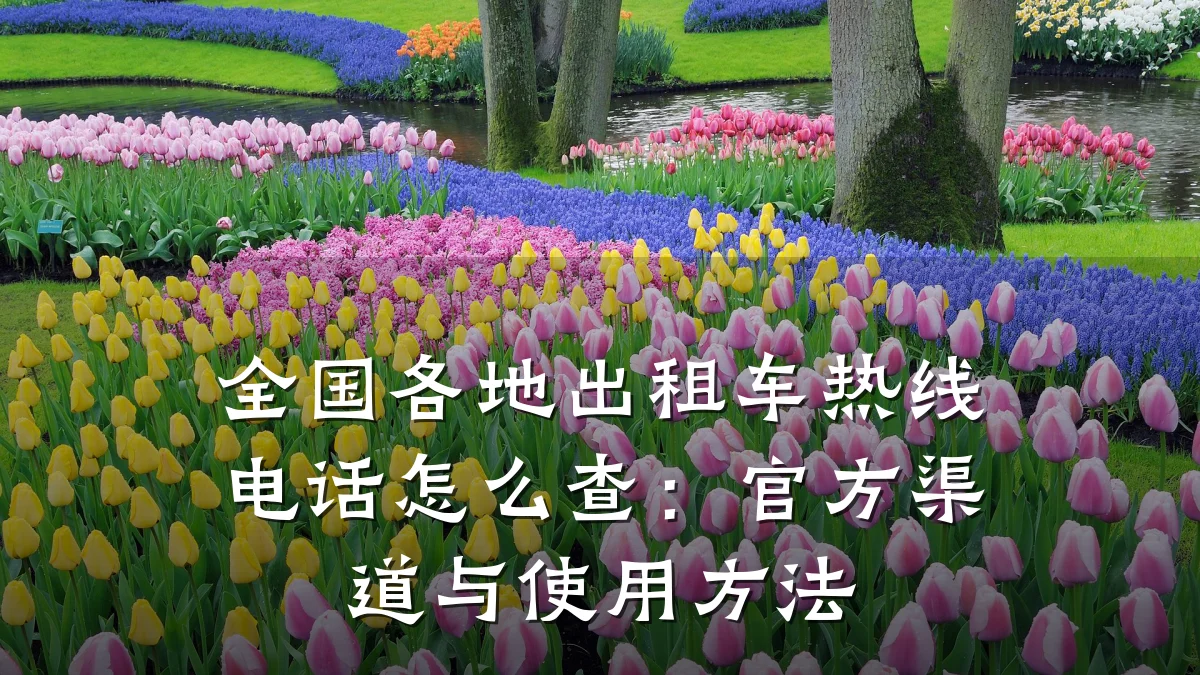 全国各地出租车热线电话怎么查:官方渠道与使用方法