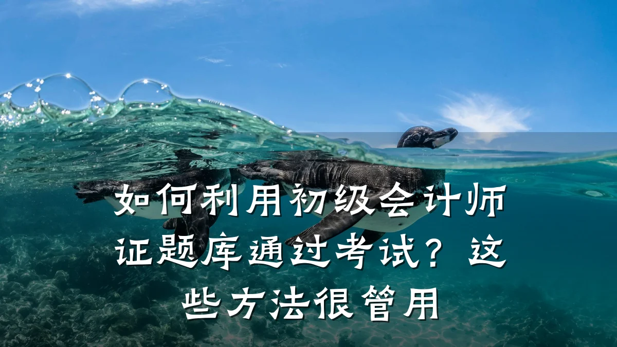 如何利用初级会计师证题库通过考试？这些方法很管用
