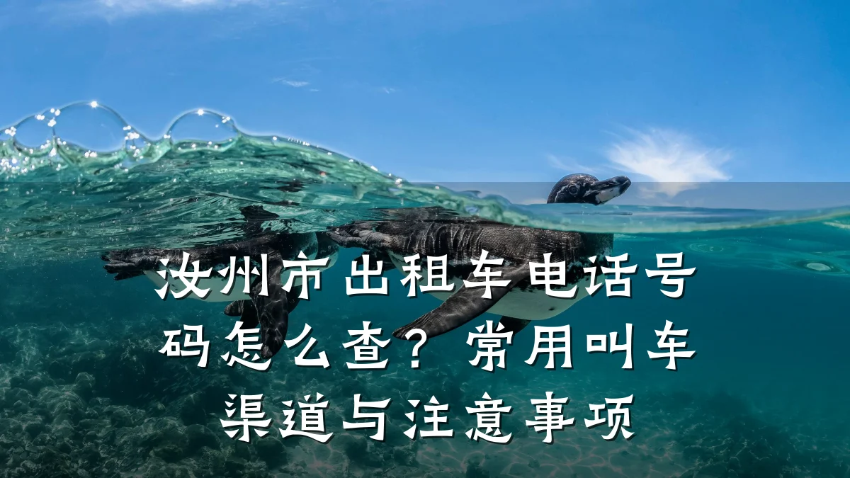 汝州市出租车电话号码怎么查?常用叫车渠道与注意事项