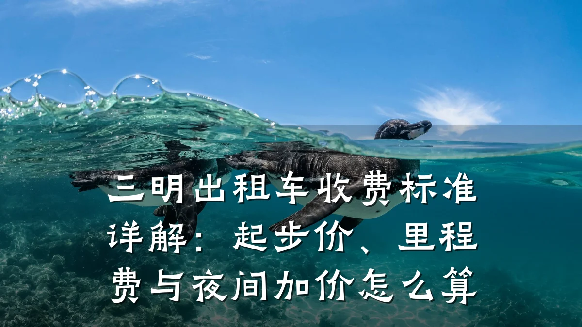 三明出租车收费标准详解:起步价、里程费与夜间加价怎么算