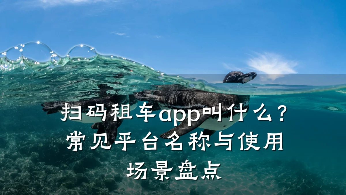 扫码租车app叫什么？常见平台名称与使用场景盘点