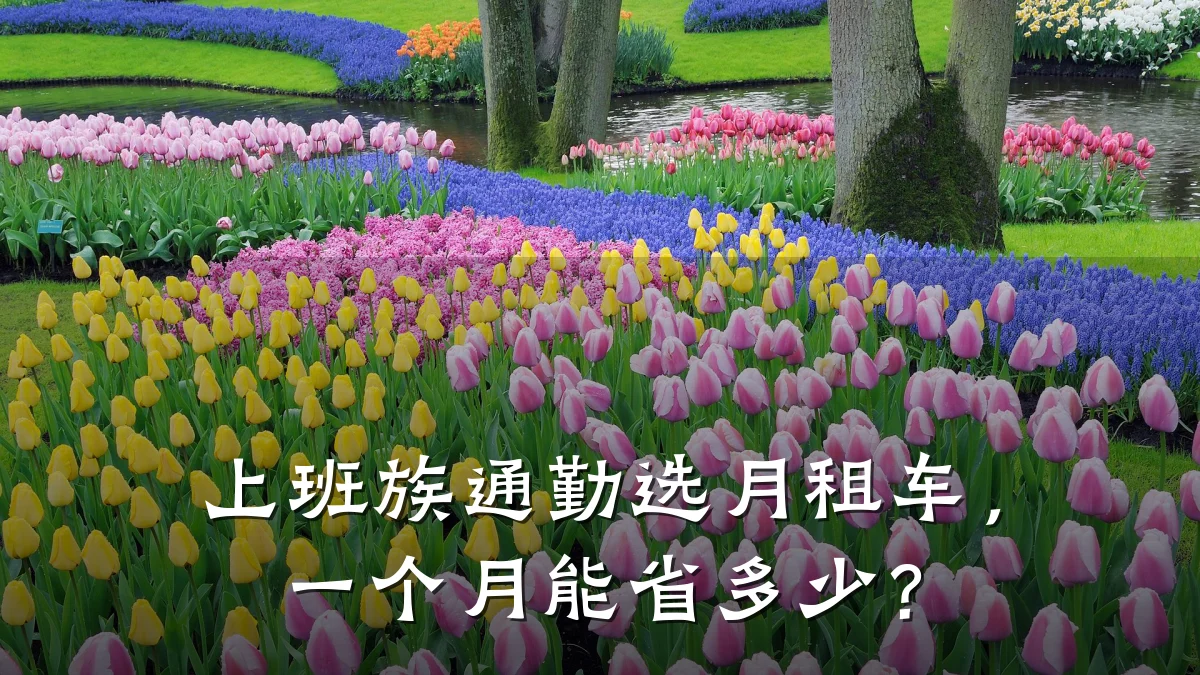 上班族通勤选月租车，一个月能省多少？