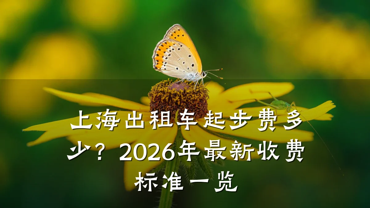 上海出租车起步费多少?2026年最新收费标准一览