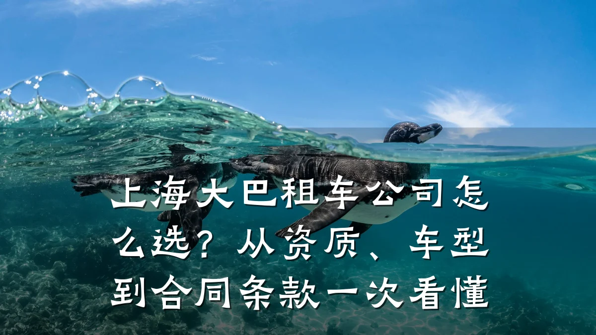 上海大巴租车公司怎么选？从资质、车型到合同条款一次看懂