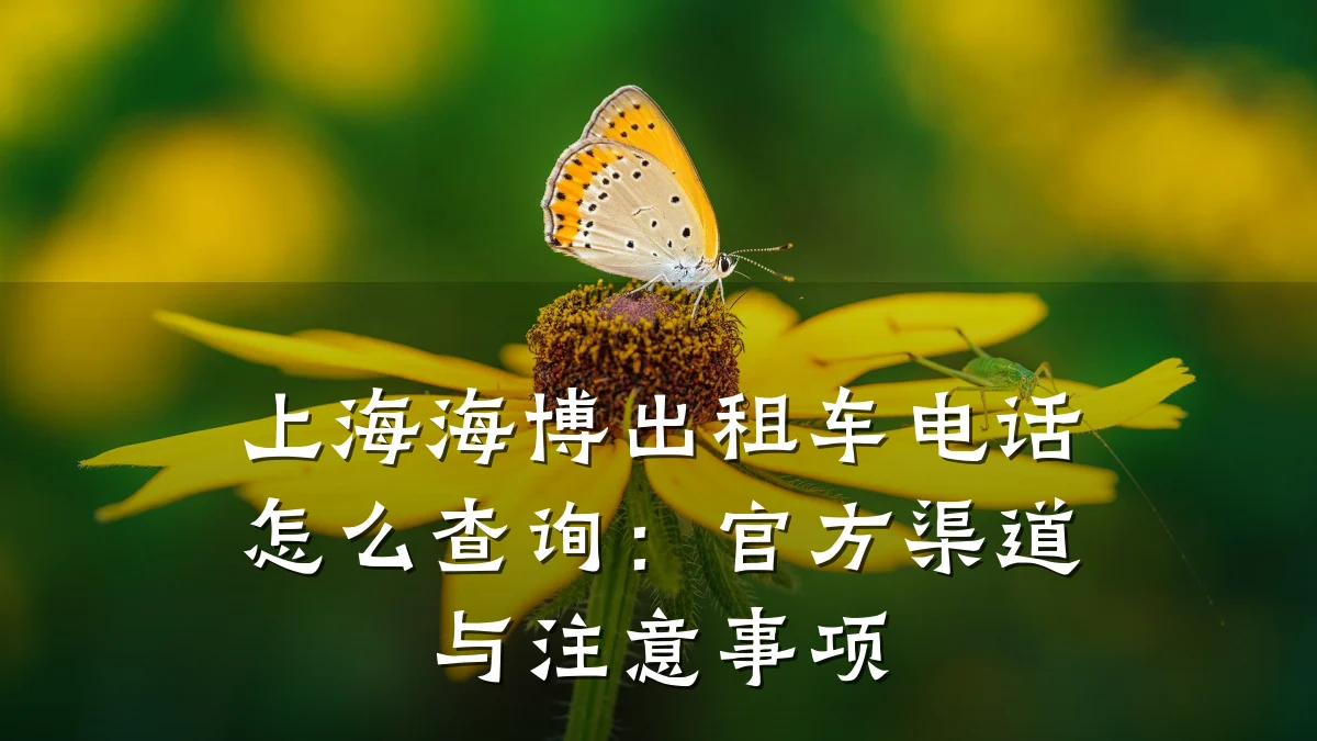 上海海博出租车电话怎么查询:官方渠道与注意事项