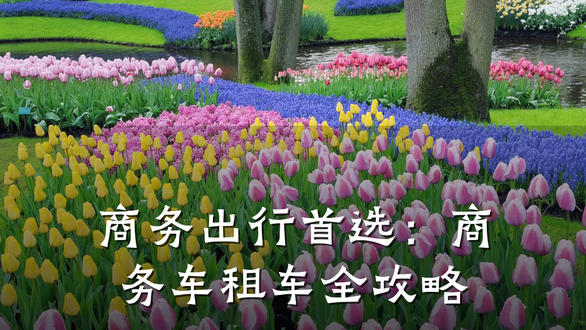商务出行首选:商务车租车全攻略