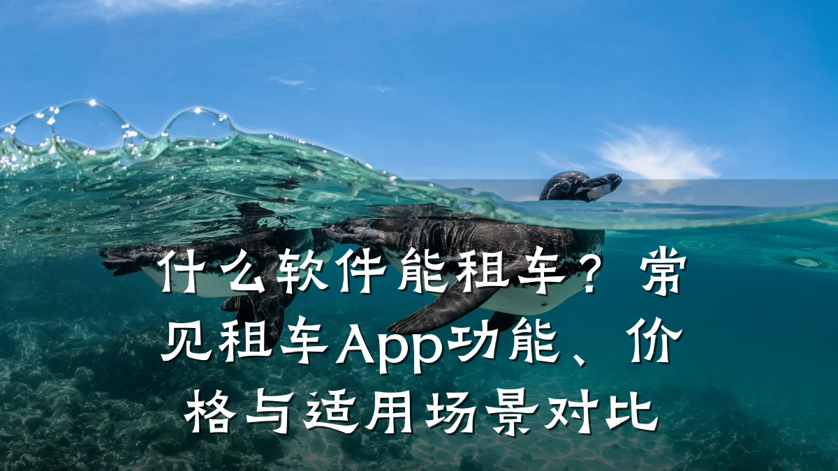 什么软件能租车?常见租车App功能、价格与适用场景对比