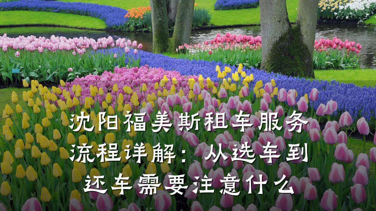 沈阳福美斯租车服务流程详解:从选车到还车需要注意什么