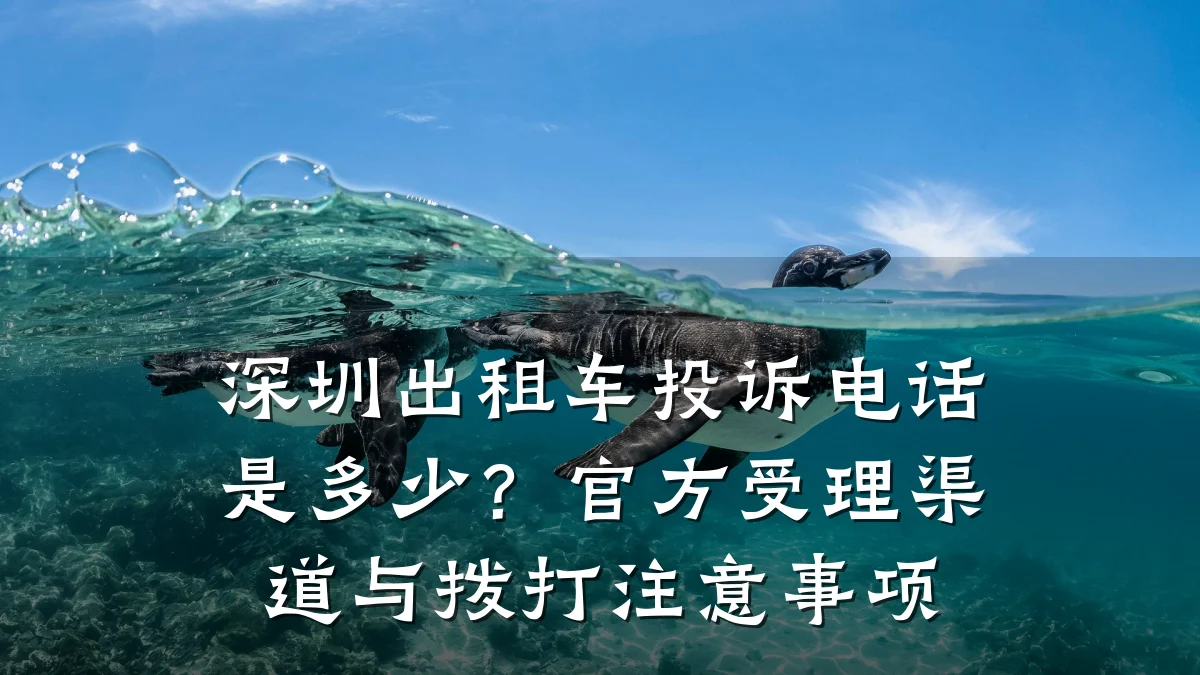 深圳出租车投诉电话是多少？官方受理渠道与拨打注意事项