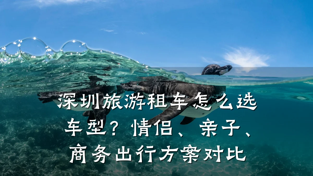 深圳旅游租车怎么选车型?情侣、亲子、商务出行方案对比