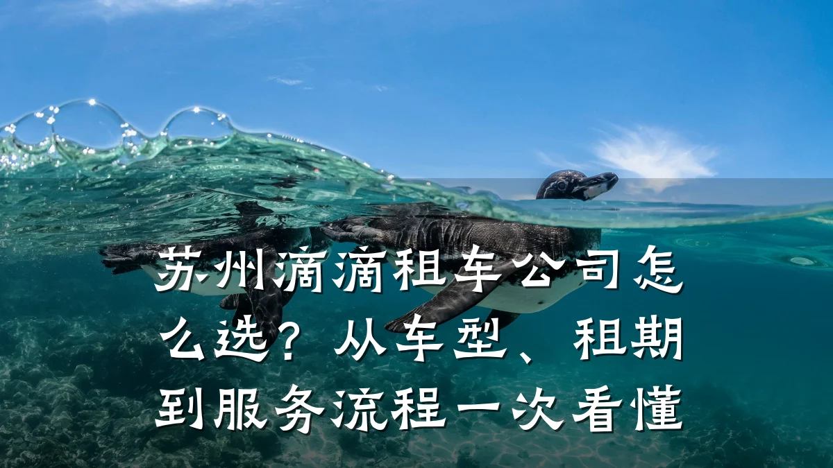 苏州滴滴租车公司怎么选？从车型、租期到服务流程一次看懂