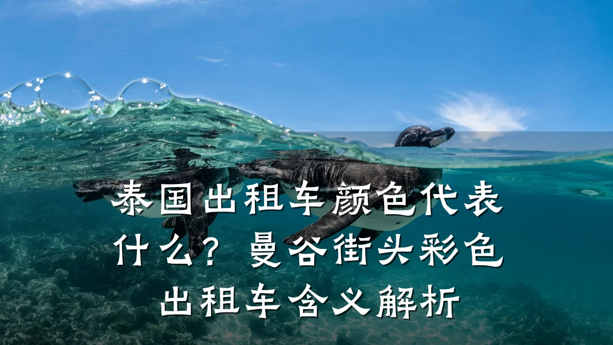 泰国出租车颜色代表什么?曼谷街头彩色出租车含义解析