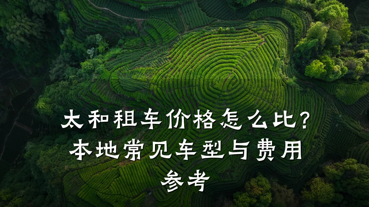 太和租车价格怎么比？本地常见车型与费用参考