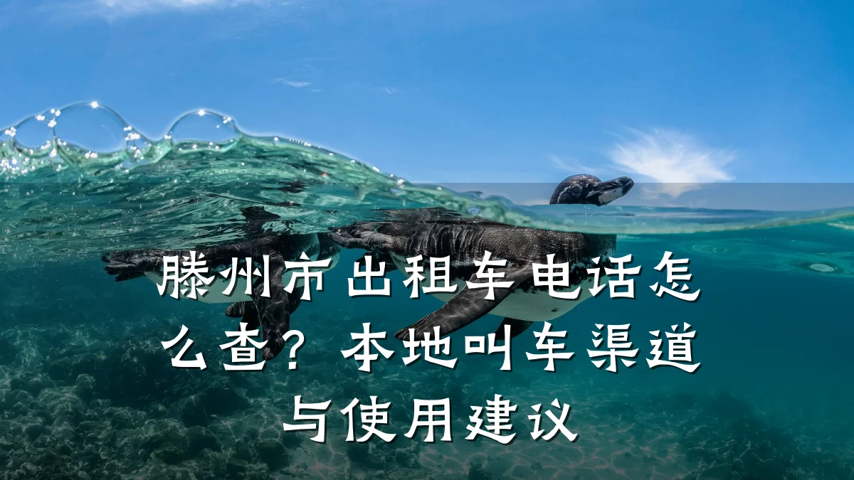 滕州市出租车电话怎么查？本地叫车渠道与使用建议