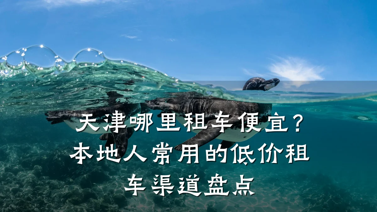 天津哪里租车便宜?本地人常用的低价租车渠道盘点