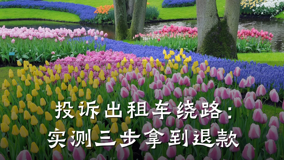 投诉出租车绕路：实测三步拿到退款