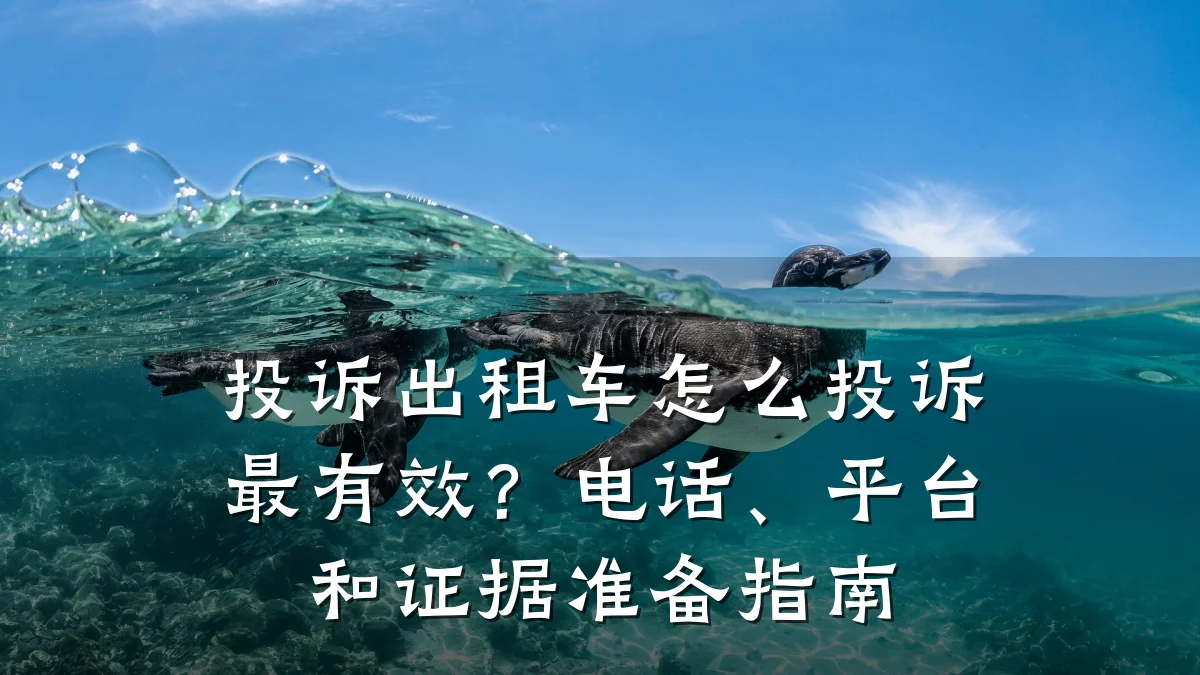 投诉出租车怎么投诉最有效？电话、平台和证据准备指南