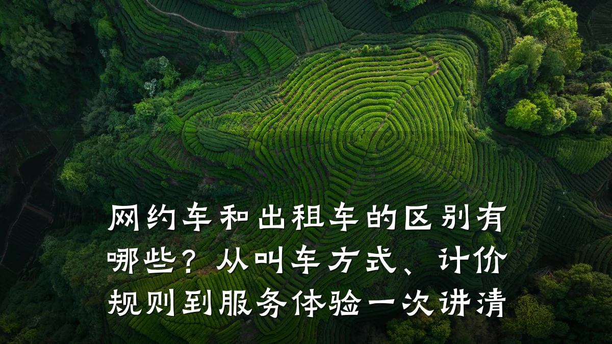 网约车和出租车的区别有哪些？从叫车方式、计价规则到服务体验一次讲清