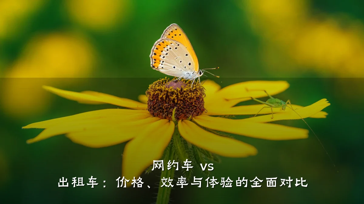 网约车 vs 出租车：价格、效率与体验的全面对比